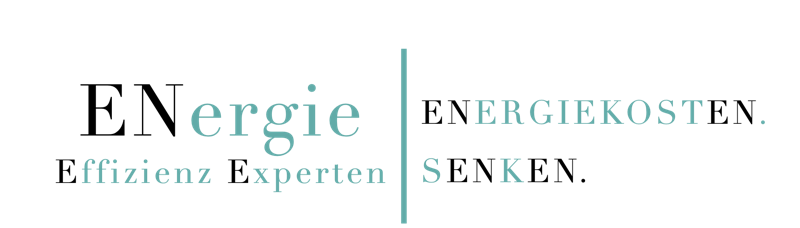 ENergie Effizienz Experten, Energiekosten senken
